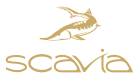 Scavia