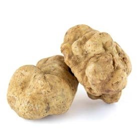 tartufo bianco