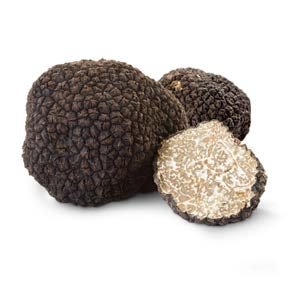 tartufo estivo