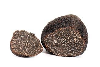 tartufo nero pregiato