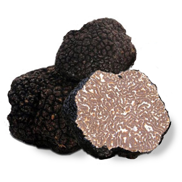 Fresh black summer truffle 1 kg - LuxurEat