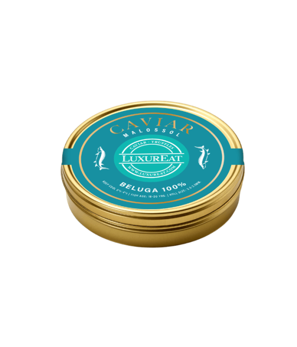 beluga 100%