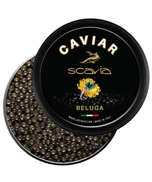 caviale-beluga-scavia