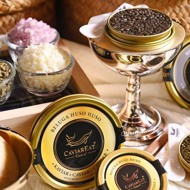 caviareat beluga huso huso