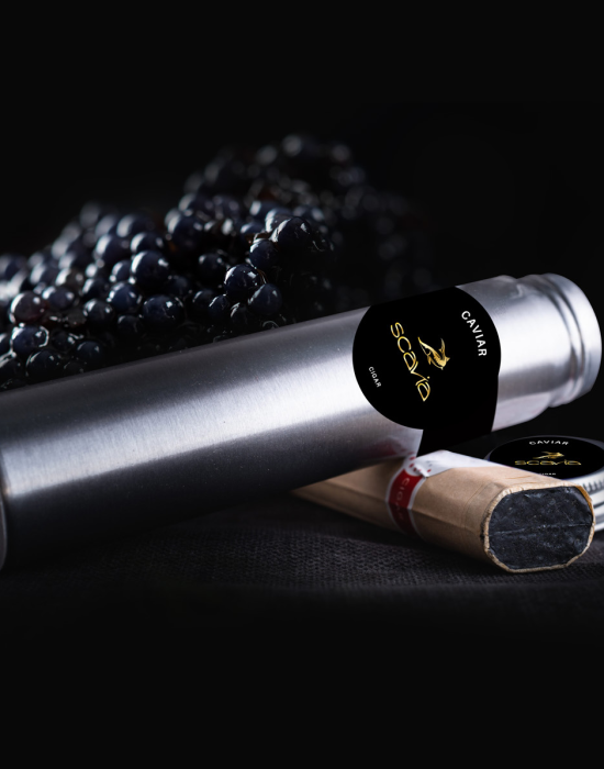 cigar caviar scavia